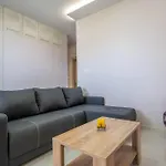 Modern Roof *