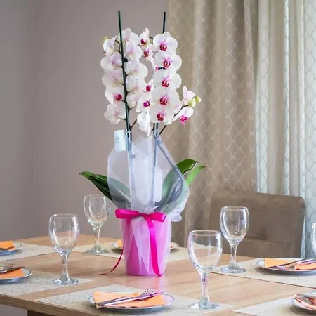 Modern Roof Apartament